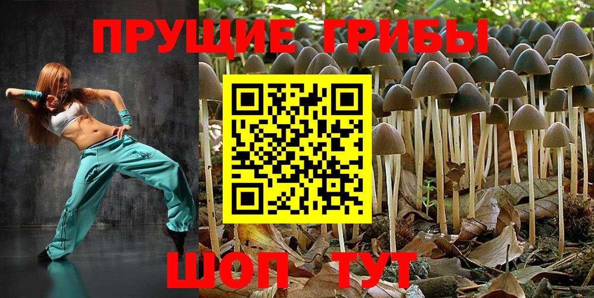 Галлюциногенные грибы Cubensis  Вход с VPN  Шуя 