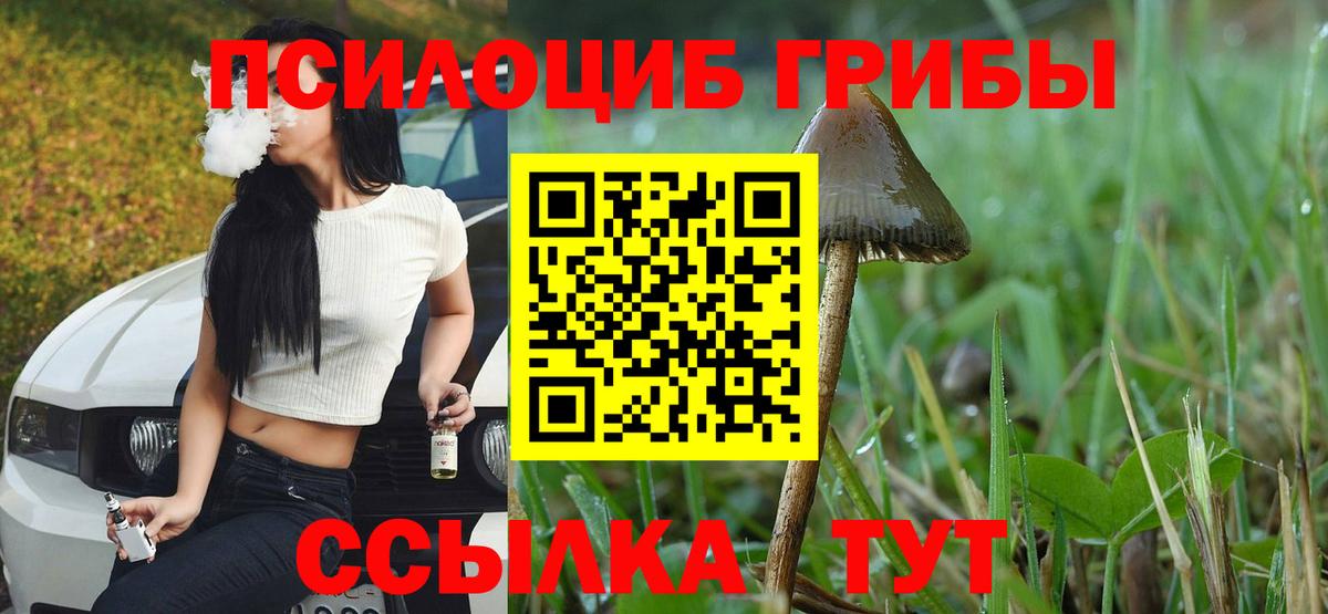Галлюциногенные грибы GOLDEN TEACHER Шуя